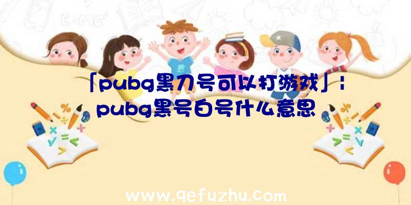 「pubg黑刀号可以打游戏」|pubg黑号白号什么意思